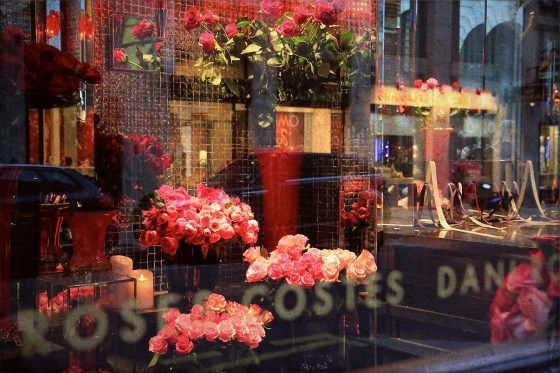 Roses at Hôtel Costes, by Meagan Kirkpatrick